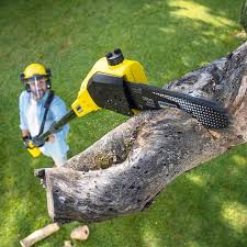 Best Tree Preservation Services  in Crestwood, IL